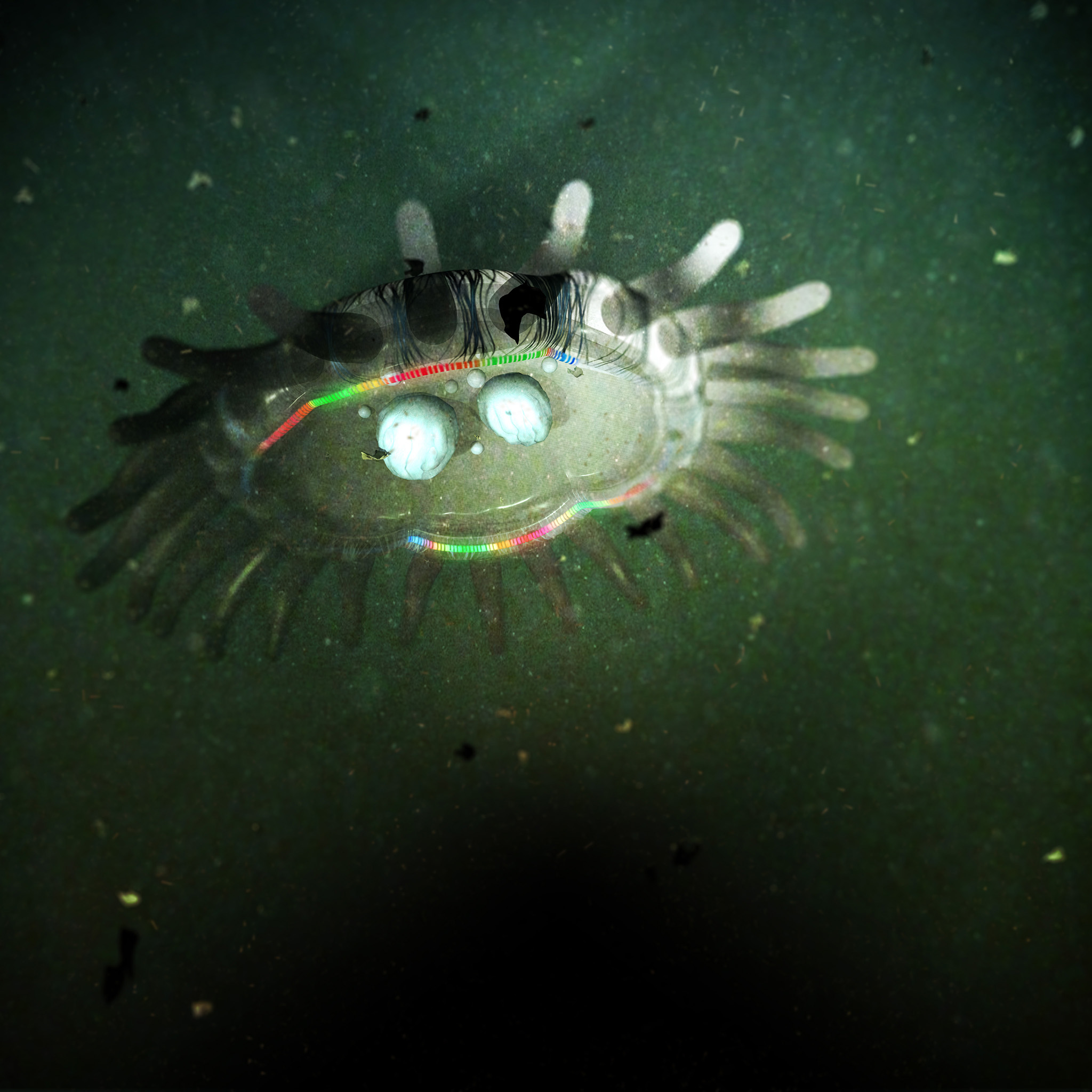 3d rendered bioluminescent jellyfish